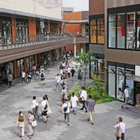 1-Day Yui Rail Pass with Shopping Coupon: Okinawa — gallery 3