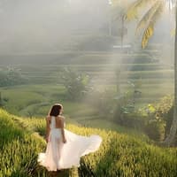 Best Ubud Tour: Monkey forest, Rice Terrace & Waterfall — gallery 1