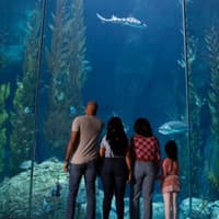LA Family Pass — gallery 1