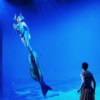 Varuna Underwater Show Tickets — gallery 3