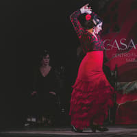 Casa Ana Flamenco Show — gallery 4