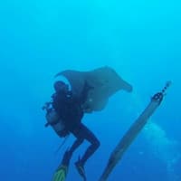 Los Cristianos: Guided Diving Class — gallery 1