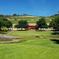 Paarl, Franschhoek, Stellenbosch Region Explorer Wine Tour — gallery 2