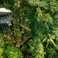 Treetops Adventure - Cape Tribulation