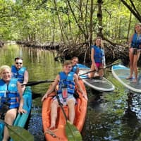Mangrove Jungle: SUP/Kayak Adventure + Drinks