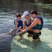 Delphinus Xcaret: Swim with Dolphins