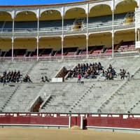 Las Ventas Bullring & Museum: Entry + Private Guided Visit Ticket — gallery 3
