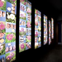 Fries Museum Bruges — gallery 2