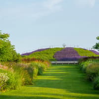RHS Garden Wisley: Entry Ticket