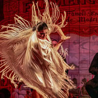 Flamenco De Leones - Flamenco Show — gallery 3