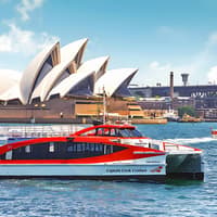 Sydney Harbour Whale Watching Cruise by Captain Cook — gallery 4