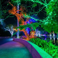 Zoo Lights at Zoo Miami — gallery 1