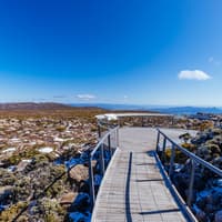 kunanyi/Mt Wellington Explorer One-Way Bus Pass — gallery 1