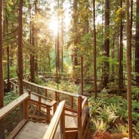 Capilano Suspension Bridge Park: Entry Ticket — gallery 3