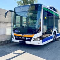 ACTV Aerobus Bus Transfer: Venice Marco Polo Airport to/from Venice Piazzale Roma — gallery 4