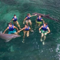 Delphinus Xcaret: Swim with Dolphins