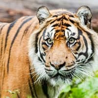 London Zoo: Entry Ticket — gallery 2