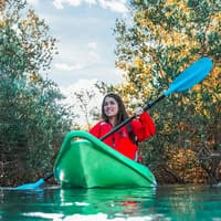 Guided Kayak Tour in the Mangroves