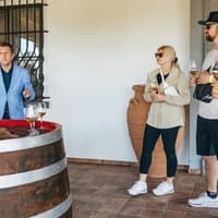 From Naples: Vesuvius Wine Tasting Experience With Mediterranean Lunch