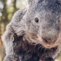 Ballarat Wildlife Park: Entry Ticket — gallery 3