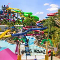 Rapids Water Park: Entry Ticket