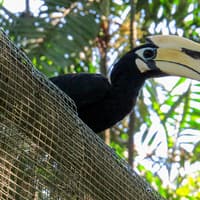 Kuala Lumpur Bird Park Tickets — gallery 4