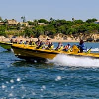 2 Hour Guided Dolphin Watching and Cave Cruise in Algarve — gallery 4