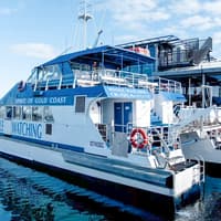 Whale Watching Cruise with Beverages & Snacks tickets, Gold Coast, photo 2