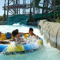 Hurricane Harbor Concord: One Day Ticket