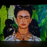 Frida Kahlo Exhibition Amsterdam: VR Experience — gallery 1