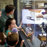 La Brea Tar Pits Museum — gallery 4