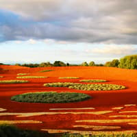The Explorer - Cranbourne Gardens