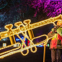 Budapest: Lumina Light Park Wonderworld Entry Tickets