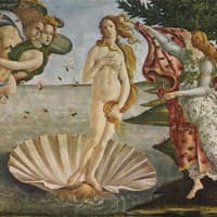 Uffizi Gallery: Reserved Entry + Audio Guide