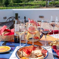 From Naples: Vesuvius Wine Tasting Experience With Mediterranean Lunch