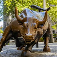 Wall Street: Guided Walking Tour