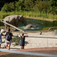 Copenhagen ZOO: Skip The Line Ticket
