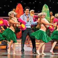 Rock-A-Hula Show — gallery 1