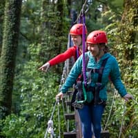 Rotorua Forest Zipline Experience — gallery 3