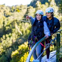 Rotorua Forest Zipline Experience — gallery 2