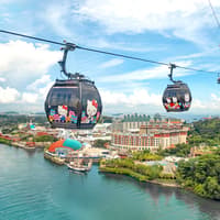 Singapore Cable Car SkyPass with Meals at Arbora Cafe — gallery 1