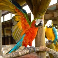 Gatorland Skip-the-Line Tickets — gallery 2