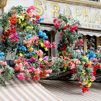 Central Paris Les Halles & Montorgueil: Gourmet Food Tour — gallery 1