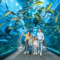 Dubai: Audio Guide App