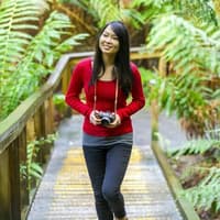 Otway Fly Treetop Adventures: Treetop Walk