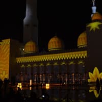 Half-Day Trip from Dubai: Sheikh Zayed Grand Mosque Express Entry — gallery 2