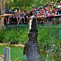 Australian Reptile Park Ticket — gallery 2