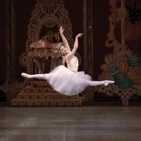 The Nutcracker — gallery 3