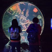 SEA LIFE Porto: Entry Ticket — gallery 4