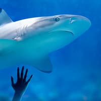 SEA LIFE Munich Ticket — gallery 2